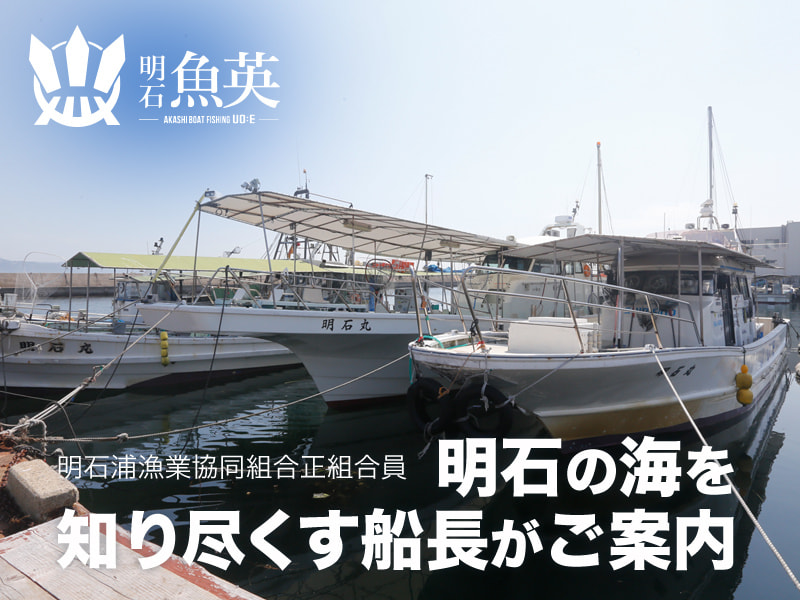 ジグ4つセット　魚英　明石 魚英