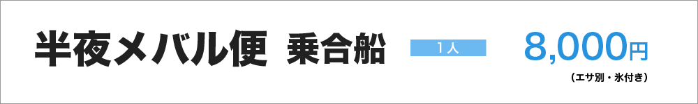 半夜メバル便　乗合船　8,000円(エサ別、氷付き)